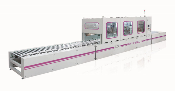 10mm A3 Steel Fully Automatic Carton Box Case Packing Line 200-800mm